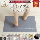 【P3倍 2枚お買い上げで10%OFF♪】＼楽天348冠／吸水2.5倍 プレミアムバスマット Mirx 珪藻土バスマット 即納 珪藻土…