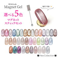 【選べるカラー】マグネットジェル5個＆スティックのセット マグネットネイル セット 磁石 ネコジェル マ…