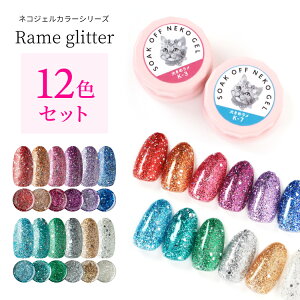 y12FZbgzlRWF Ob^[12FZbg e3g S̉ϕio^ LED/UVCgǂɂΉ WFlC lCA[g ZtlC \[NItWF Ob^[WF