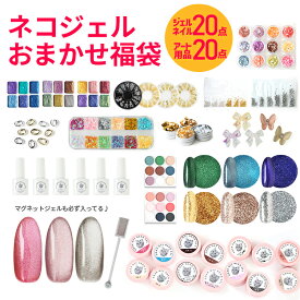 ネコジェルおまかせ福袋★ ネコジェル20点＆ネイル用品20点！ マグネットジェル カラージェル