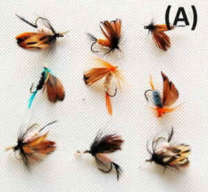 FORGERON tC 12{Zbg P[X Iׂ2^Cv ѐj т΂ уo tBbVOtC  ނ tCtBbVO tCj ђ |Cg GT ^a [530R]