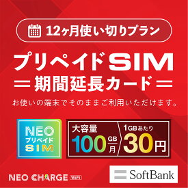 【ネオプリペイドSIM利用者専用】12ヶ月使い切りプラン 期間延長カード SoftBank回線 大容量 100GB 契約不要 月額0円 端末にSIMを挿すだけ 業界最安値に挑戦 格安sim プリペイドSIM ネオプリペイドSIM 送料無料 おすすめ プラン