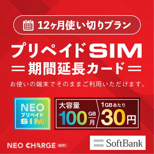 【ネオプリペイドSIM利用者専用】12ヶ月使い切りプラン 期間延長カード SoftBank回線 大容量 100GB 契約不要 月額0円 端末にSIMを挿すだけ 業界最安値に挑戦 格安sim プリペイドSIM ネオプリペイドS
