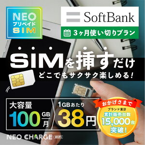 ySoftBankze 100GB 3g؂v _sv z0~ [SIM} ƊEňlɒ isim vyChSIM lIvyChSIM   v
