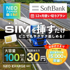 ySoftBankze 100GB ԑIv _sv z0~ [SIM} ƊEňlɒ isim vyChSIM lIvyChSIM   v