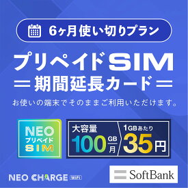【ネオプリペイドSIM利用者専用】6ヶ月使い切りプラン 期間延長カード SoftBank回線 大容量 100GB 契約不要 月額0円 端末にSIMを挿すだけ 業界最安値に挑戦 格安sim プリペイドSIM ネオプリペイドSIM 送料無料 おすすめ プラン
