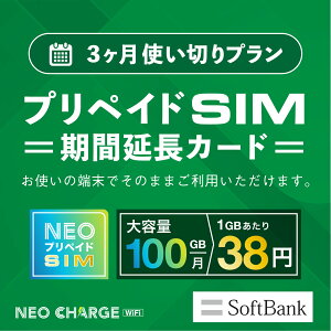 ylIvyChSIMpҐpz3g؂v ԉJ[h SoftBank e 100GB _sv z0~ [SIM} ƊEňlɒ isim vyChSIM lIvyChSI