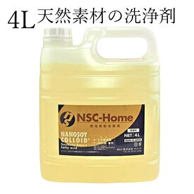 ナノソイ コロイド 4L 大豆洗剤 発泡あり天然素材の洗浄剤 除菌 消臭 ハウスケア用大容量 赤ちゃんも安心 キッチン 浴室 お風呂 トイレ洗剤