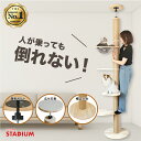 つっぱりキャットタワー 249.5cm キャットタワースタジアム 大型猫 スリム 省スペース 猫タワー 猫 猫用品 爪とぎ 麻紐 全面爪とぎ 多頭飼い 頑丈 クリアボウルハンモック 宇宙船 ステップ 突っ張り 木製 スリム キャットポール