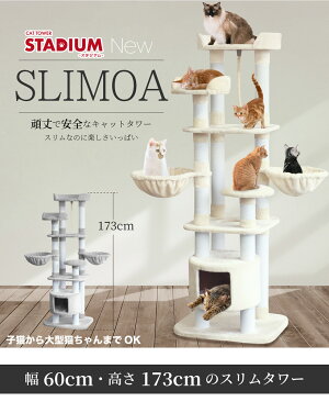 楽天市場 キャットタワー Slimoa 猫タワー 猫 キャット タワー猫用品 据え置き 多頭飼い 低ホルムで匂わない 子猫 大型 頑丈 ハンモック付 スタジアム ペット 家族 おしゃれ Liv House