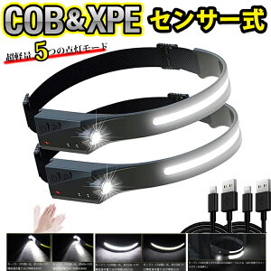 LED wbhCg 2Zbg ZT[ COB XPE USB[d 5[h Px 邢 ƗpCg h Lv U oR jO ނ AEghA h