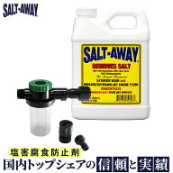 ソルトアウェイ SALT-AWAY 原液 946ml ミキサー付 塩害腐食防止剤 錆防止 錆び止め メンテナンス 洗剤 ジ…
