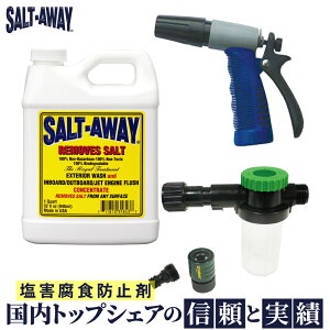 \gAEFC SALT-AWAY Q H h~ t 946ml V[wbht@Kю~ eiX