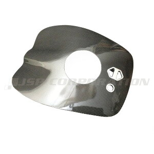 【1日ポイント+5倍】 SEステアリングシステムカバーカーボン&クルーズコントロール仕様 KAW ULTRA300/310