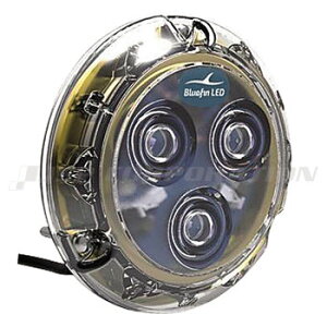 BlueFin LED(u[tB)Cg Piranha P12