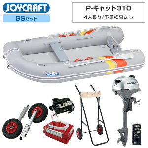 y1|Cg+5{z WCNtg S{[g 4l P-Lbg310 PCT-310 \Ȃ SSZbg z_2n͑DO@ GWˑt Cނ