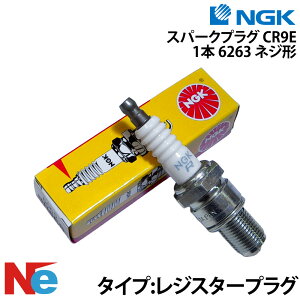 �y1���|�C���g+5�{�z NGK �X�p�[�N�v���O CR9E�s1�{�t (6263 �l�W�`) �G�k�W�[�P�[