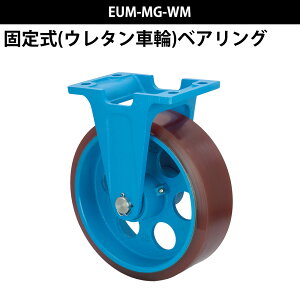 DLX^[ Œ莮 E^ԗ EUM-MG-WM 300×100 {H@ h^  ^O^C ^C } }[i D {[g