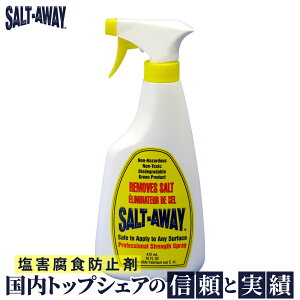 \gAEFC SALT-AWAY ߂݃Xv[ 472ml QHh~ Kh~ Kю~  eiX  ނ bh [  KCh tbN