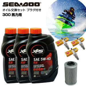 V[hD[ SEADOO ICZbg 300n GWIC ЊOiICtB^[ Xp[NvO WFbgXL[ oCN }WFbg PWC 4Xg[N