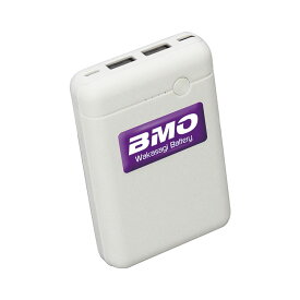 【20日ポイント+5倍】 BMO(ビーエムオー)ワカサギ電動リール用バッテリー