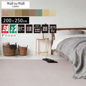 ���O �J�[�y�b�g ���O�}�b�g ��3�� �h�_�j �R�� ���{�� �I�[�_�[�J�[�y�b�g �h�� �Չ� �z�����A���f�r�h �h�� �E�[��100�� ���Y ���d �z�b�g�J�[�y�b�g�Ή� �I�[�_�[ �O�~ �V���� neore / YES�J�[