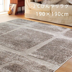 2畳 夏用 カーペット ラグ マット 絨毯 通販 価格比較 価格 Com