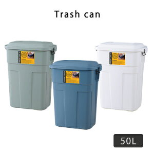 �y�ő�1000�~OFF�N�[�|���z�z���zLFS-936/�g���b�V����50L�_�X�g�{�b�N�X 50L �S�~�� ���݂΂� �g���b�V���J�� ���ݔ� �O���[�� �i�`������ ���� ������� ���� AZUMAYA �k�� �������� neore / �g���b