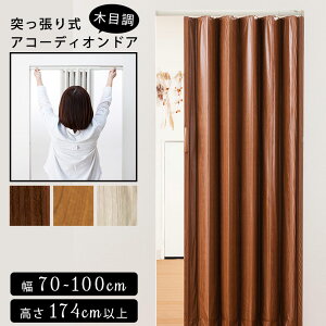 ς莮 AR[fBIhAi˂莮j AR[fBI Ԏd؂ d؂ hA  _ k   neore / ؖڒPVC^Cv 100×174cm