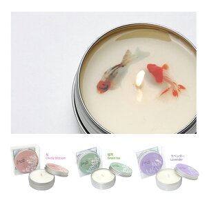 ytin Case Soy Aroma Fish Candlez΂Ƌ \CLh A}es[ gтɕ֗ȃeBP[Xdl / NX}X ؍ v[g  A}Lh W Mtg 