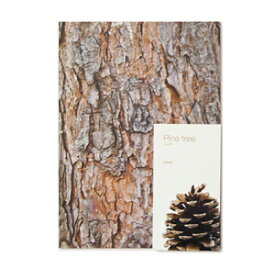 送料無料！【Woodpecker Note (Pine tree マツ) M 】樹木の手触りをリアルに表現したデザインノート / 可愛い 韓国 おしゃれ B5 男 女 プレゼント 粗品