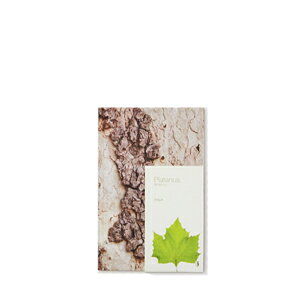 IyWoodpecker Note (Platanus v^iX) S z؂̎GAɕ\fUCm[g /  ؍  B7 j  v[g ei