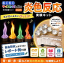 わくわくサイエンスLabo vol.01 炎色反応 実験キット 自由研究 小学生 1日でできる レポート付き 科学実験 化学 夏休…