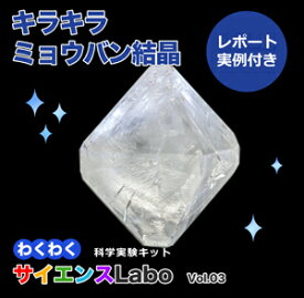 わくわくサイエンスLabo vol.03 キラキラ　ミョウバン結晶 -自由研究に役立つ実例レポート付き-　＜送料込み＞　科学実験キット！