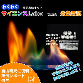わくわくサイエンスLabo vol.01 炎色反応 -自由研究に役立つ実例レポート付き-　＜送料込み＞　科学実験キット！