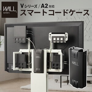 WALL�C���e���A�e���r�X�^���h V5�Ή� �w�ʃJ�o�[ BACK COVER �ǉ��I�v�V���� ���i�p�[�c �P�[�u�����[�P�[�u���B���R�[�h���[�R�[�h�B���w�ʉB�����_�� �������X�^�C���b�V��WALL�I�v�V����