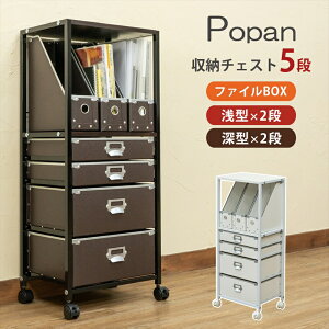 Ԍ Popan [`FXg5it@CBOX `FXg [ i`FXg LX^[t ގ[ ޒI [ I ރP[X o TCh`FXg [P[X A4 o5i 