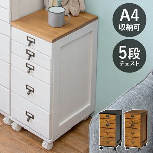 `FXg@MCH-6170 5i`FXg A4[ LX^[t 28×60cm   [ ؖڒ o VR [Ƌ rO[ }`[ [ H  ItBX fXN TC