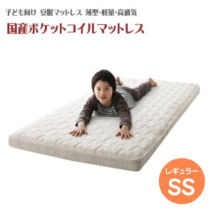 qǂ̐l { }bgX RہE^Eyʁ@WjA Y|PbgRC EVA G@ Z~VO V[g@RpNg VO܂\ ƒ|̓VRR@