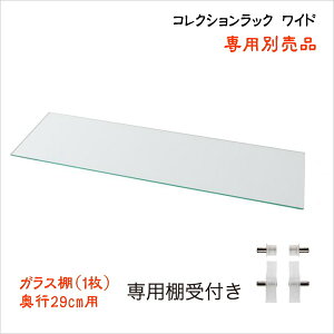 RNVbN Ch pʔi KXI(1) s29cmp KXÎ݁@{͕̂ʔ RNVP[Xp tBMAbN tBMAP[X RNVbN@KXIǉ