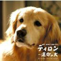 楽天市場】ディロン 犬（CD・DVD）の通販 ディロン　運命の犬 DVD 定価10000円以上