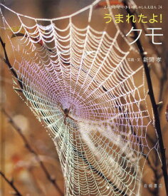 楽天市場 クモ 絵本の通販