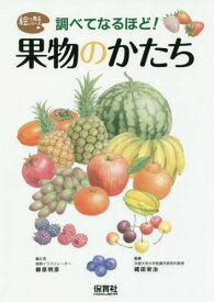 調べてなるほど!果物のかたち[本/雑誌] (絵で見るシリーズ) / 柳原明彦/絵と文 縄田栄治/監修