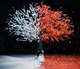 茜さす / everlasting snow[CD] [通常盤] / Aimer