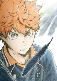 楽天市場 ハイキュー アニメ Dvdの通販