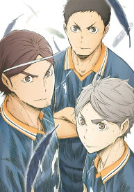 楽天市場 ハイキュー アニメ Dvdの通販