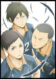 楽天市場 ハイキュー アニメ Dvdの通販