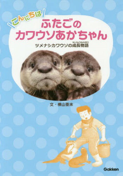 楽天市場 書籍のメール便同梱は2冊まで こんにちはふたごのカワウソあかちゃん ツメナシカワウソの成長物語 本 雑誌 動物感動ノンフィクション 横山亜未 文 堀江篤史 絵 ネオウィング 楽天市場店
