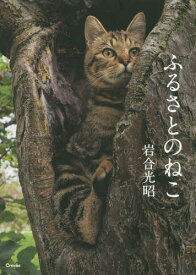 ふるさとのねこ[本/雑誌] (写真文庫) / 岩合光昭/著