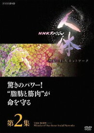 NHKスペシャル 人体 神秘の巨大ネットワーク[DVD] 第2集 驚きのパワー! ”脂肪と筋肉”が命を守る / ドキュメンタリー